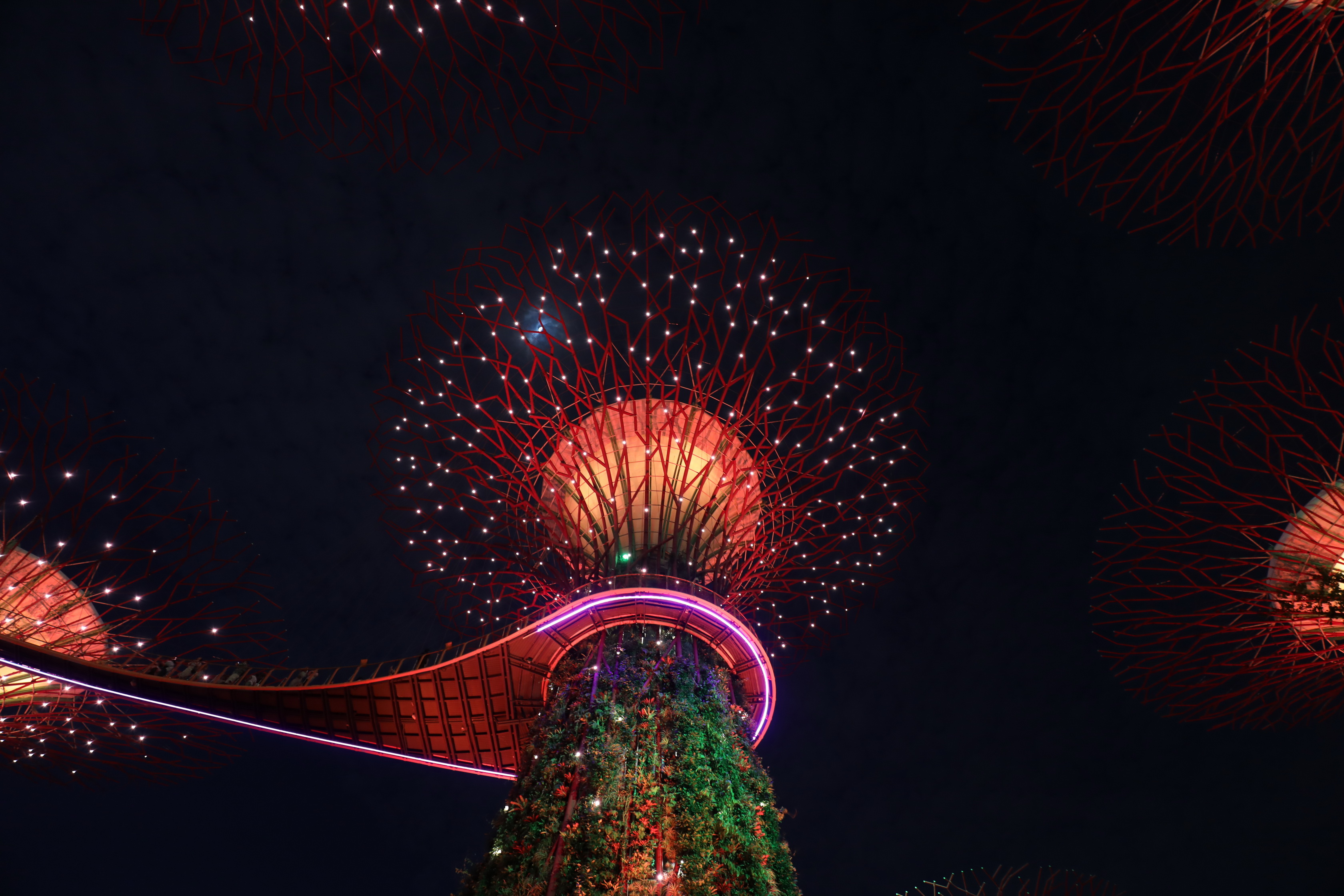 Supertree Grove Lightshow @ Gardens by the Bay